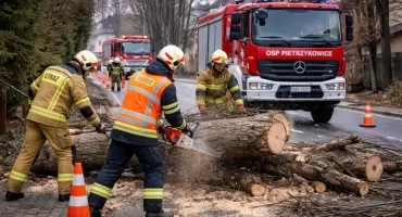 Interwencja strażaków w Pietrzykowicach – usunięcie powalonego drzewa