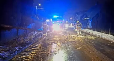 Drzewo powalone na jezdnię w Łodygowicach