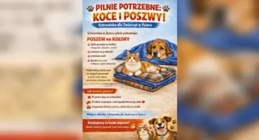 Pilna prośba o pomoc – razem zadbajmy o ciepło tej zimy