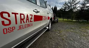 Uwięziona sarna na prywatnej posesji – interwencja OSP Jeleśnia