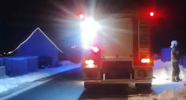 Interwencja strażaków przy ul. Franciszkańskiej – pomoc uwięzionej sarnie