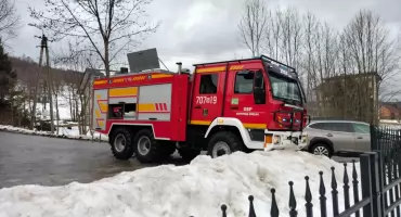 Uwięziona sarna w ogrodzeniu