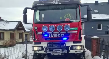 interwencja w Ciścu. Łania uwięziona w ogrodzeniu