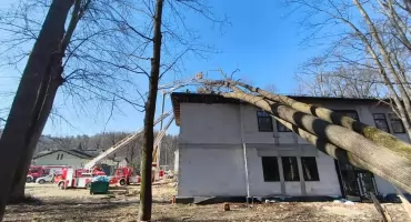 Powalone drzewo na budynku w Żywcu – interweniowali strażacy