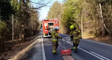 Usuwanie plamy substancji ropopochodnej w Ślemieniu