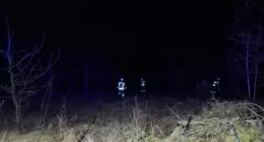 Pożar suchej trawy w Lipowej. Interweniowali strażacy z OSP