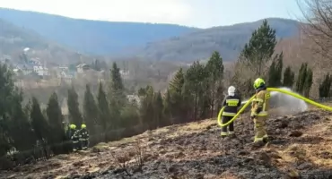 Dwa pożary traw w Międzybrodziu Bialskim
