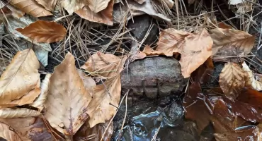 Znalezisko w Tresnej: Granat z II wojny światowej odkryty w lesie