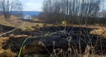 Strażacy walczyli z pożarem trawy przy ulicy Żeromskiego w Łodygowicach