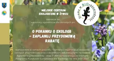 Darmowe warsztaty ogrodnicze w Żywcu. Zaplanuj ekologiczną rabatę