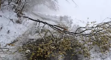 Strażacy w akcji. Intensywne godziny walki ze skutkami pogody