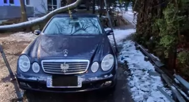 Powalone drzewo uszkodziło samochód w Brzuśniku szybka akcja służb