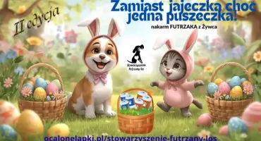 Świąteczna zbiórka dla zwierząt z Żywca. Trwa akcja „Zamiast jajeczka choć jedna puszeczka”