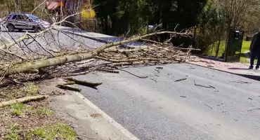 Strażacy z OSP Ślemień usuwają powalone drzewa blokujące błyskawicznie drogi