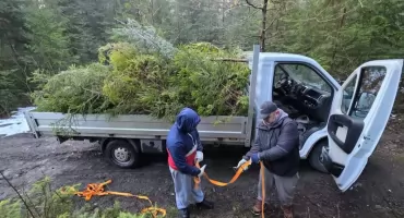 Świerk i ryby – niezwykłe połączenie w trosce o ekosystemy wodne