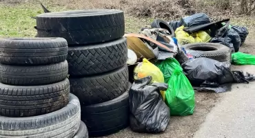 Razem dla czystych lasów – wspólna odpowiedzialność