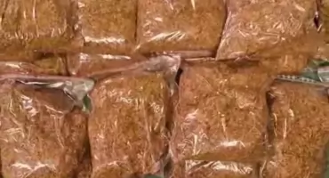 Wspólna akcja służb w Sosnowcu i Tychach: zabezpieczono nielegalne wyroby tytoniowe