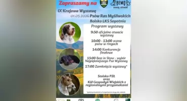 IX Krajowa Wystawa Psów Ras Myśliwskich. Majówka w Sopotni z czworonogami