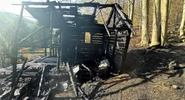 Pożar w Kamesznicy: ogień objął las i domek letniskowy. Szybka akcja strażaków uratowała teren przed większymi stratami