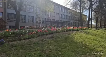 Nowa Eko-Pracownia pod chmurką w Żywcu wspiera edukację ekologiczną