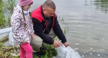 Tysiące miętusów wpuszczone do bielskich wód dla poprawy ekosystemu