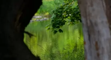 Światowy Dzień Ochrony Środowiska To Czas Na Ekologiczne Inicjatywy i Współpracę