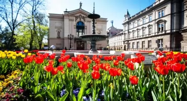 Bielsko-Biała planuje zakaz nocnej sprzedaży alkoholu w sklepach i na stacjach