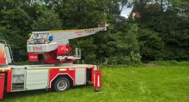 Awaria linii telefonicznej po przewróceniu drzewa w Rychwałdzie na ul. Łosiny