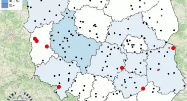 Policja prezentuje mapę tragicznych wypadków drogowych podczas wakacji 2026