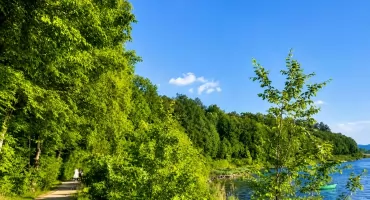 Mieszkańcy Żywca apelują o ochronę Lasku Św. Wita i zapoznanie się z petycją