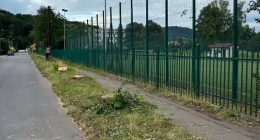 31 drzew wyciętych, w zamian 60 m² krzewów.