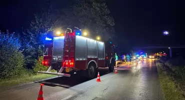 Wieczorna kolizja na Żywieckiej w Wieprzu z udziałem dzikiego zwierzęcia