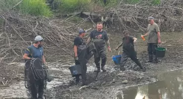 Walka o życie ryb nad Jeziorem Żywieckim toczyła się błotnistym szlakiem