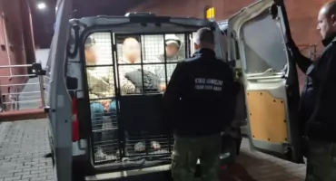 Decyzja o deportacji braci z Ukrainy po brutalnym incydencie w Polsce