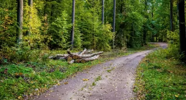 Bielsko-Biala wystawia na sprzedaż ponad 90 arów w Kamienicy za 4,5 mln zł