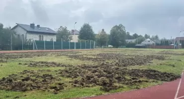 Dziki niszczą boisko szkolne w Buczkowicach co zmienia zasady bezpieczeństwa