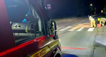 Nocne zderzenie samochodu z dziką zwierzyną w Rajczy na Żywiecczyźnie