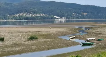 Susza hydrologiczna na Podbeskidziu znacząco obniża przepływy rzek