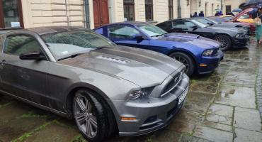 Miłośnicy Mustangów pojawili sie w żywieckim Parku Habsburgów